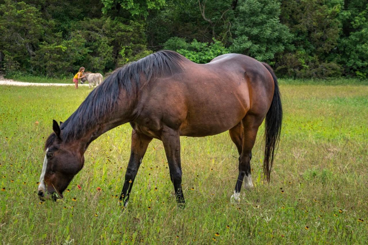 Country Woods Inn Глен-Роуз Экстерьер фото
